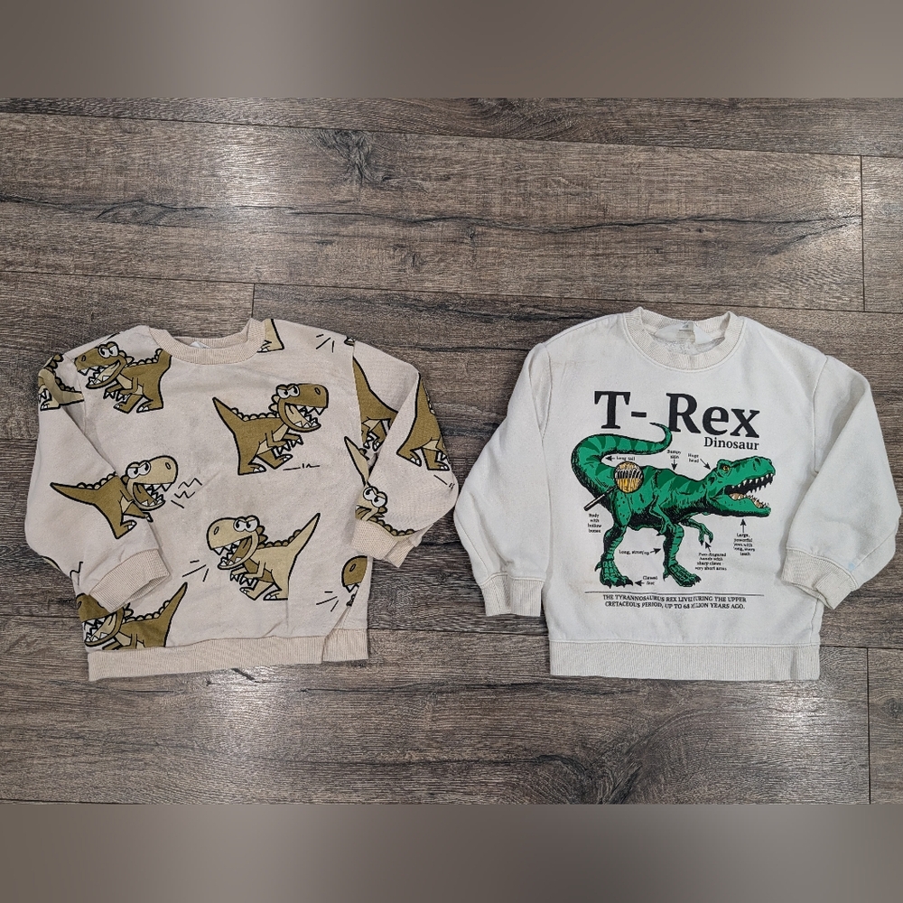 H&M 4T Dinosaur Sweatshirt Bundle T-Rex Crewneck Top Shirt Toddler Boy Neutral